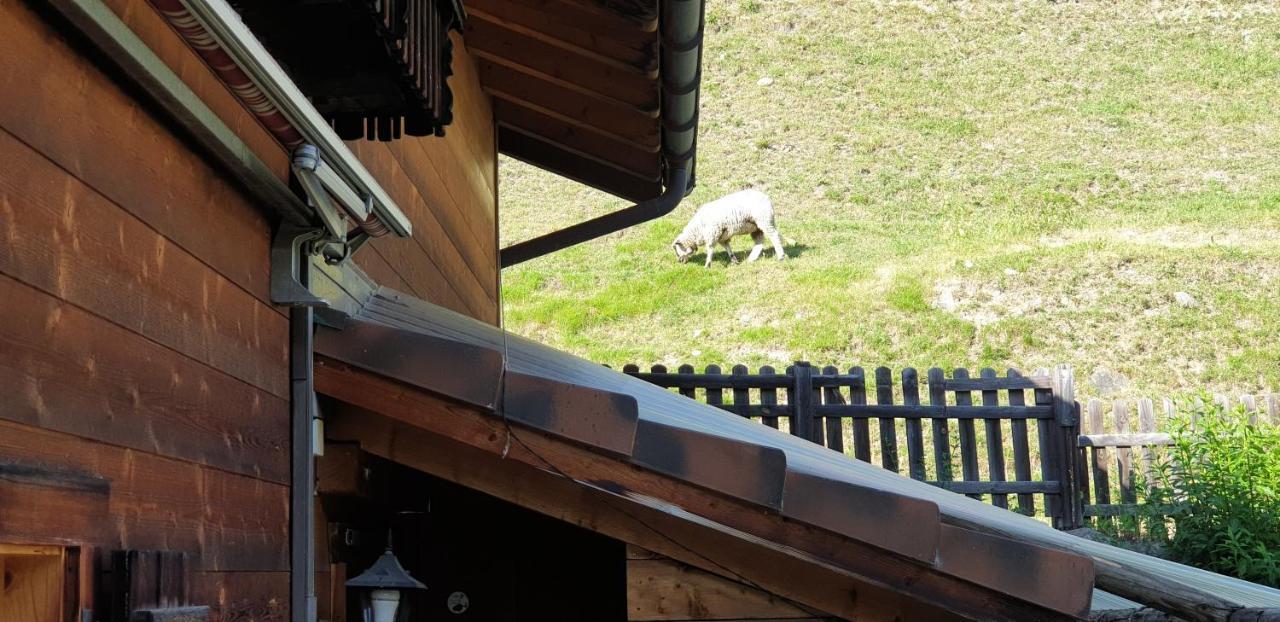 Ferienhaus & Ferienwohnung Winay Wayna Gotschna Blick Klosters Ngoại thất bức ảnh
